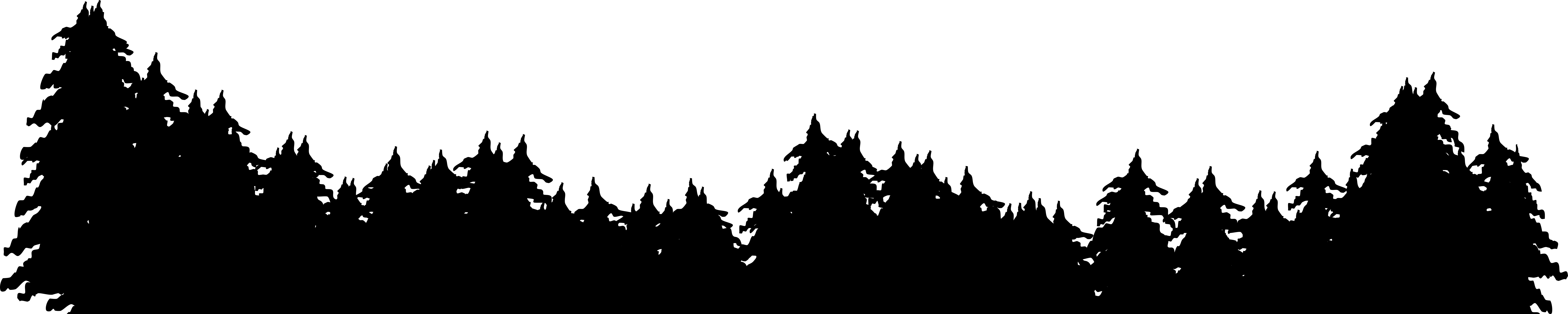 Pine Background